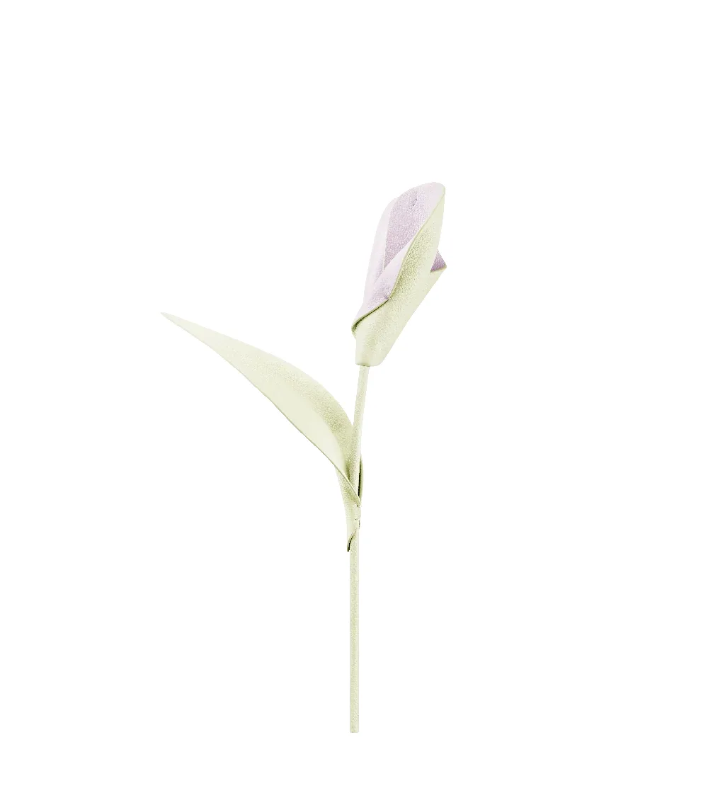 Polene Polène Pili Flower (Aloe)